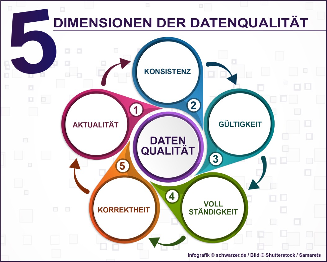Infografik: Die 5 Dimensionen der Datenqualität