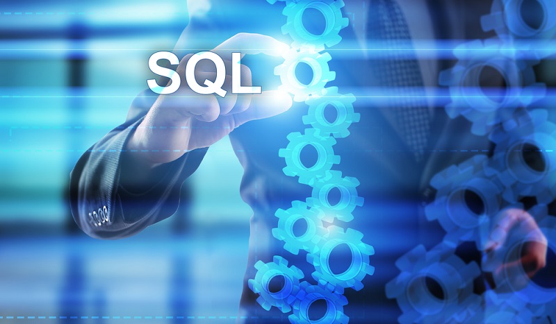 Mit einer speziellen Datenbanksprache ermöglicht die Software die Speicherung, Abfrage und Administration der Datensätze einer Datenbank. Eine gängige Datenbanksprache ist SQL (Structured Query Language). (#01)