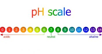 PH Meter: Technologische Höchstleistungen im Kleinformat