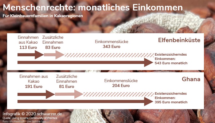 Infografik: "Monatliches Einkommen von Kleinbauern in Kakaoregionen" - Menschenrechte und  Lieferkettengesetz.
