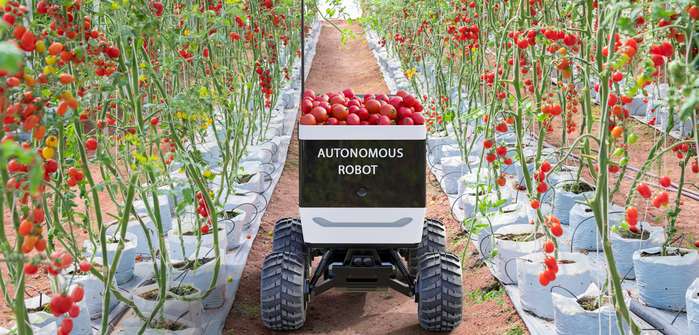 SRC: Mini-Roboter für jede Pflanze ( Foto: Adobe Stock kinwun )