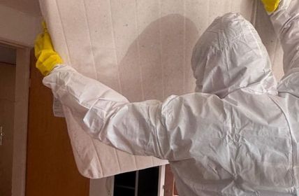 Nick Reinigung: Messie-, Tatort- und Entrümpelungsdienst mit strukturierten (Foto: Nick Gebäudereinigung)