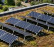 T.Werk präsentiert neue PV-Unterkonstruktionen und Biodiversitätserweiterung auf Intersolar (Foto: T.Werk GmbH)